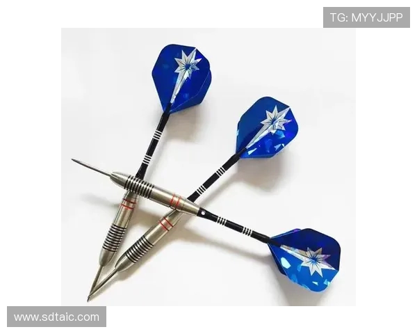 以飞镖运动计分规则为核心的竞技策略与实战解析新视角全面指南篇